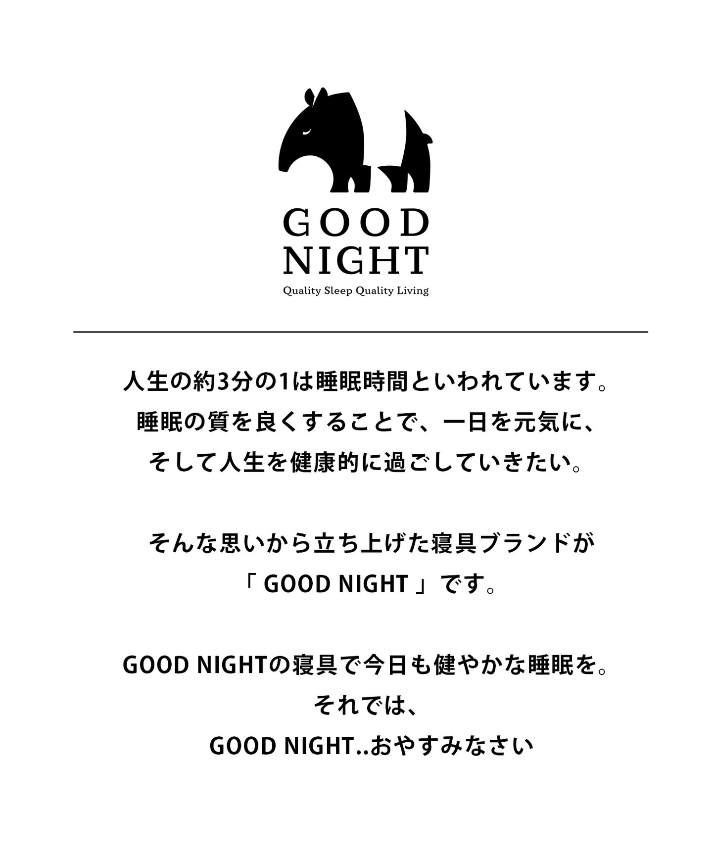 【GOOD NIGHT】洗える！防ダニ枕